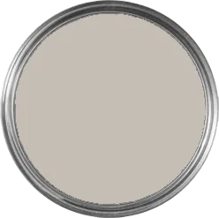 Fossil paint