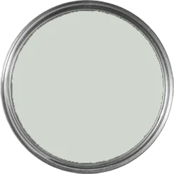 Green Grey paint