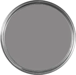 Mole Skin paint
