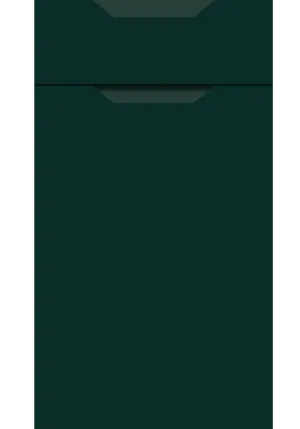 Integra Standard Handle door in Supermatt Fir Green