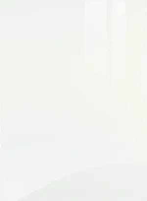 Zurfiz gloss door in Supergloss White