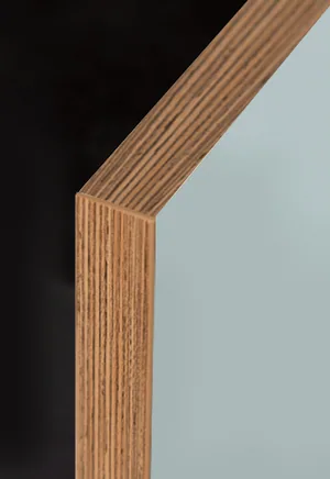 Zurfiz door edged plywood