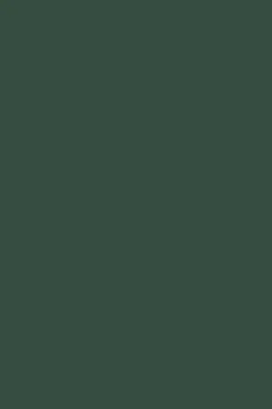 Zurfiz super matt door in Supermatt Kombu Green