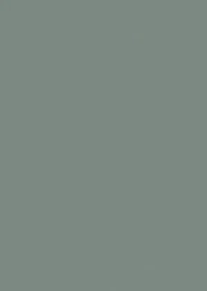 Zurfiz super matt door in Supermatt Sage Green